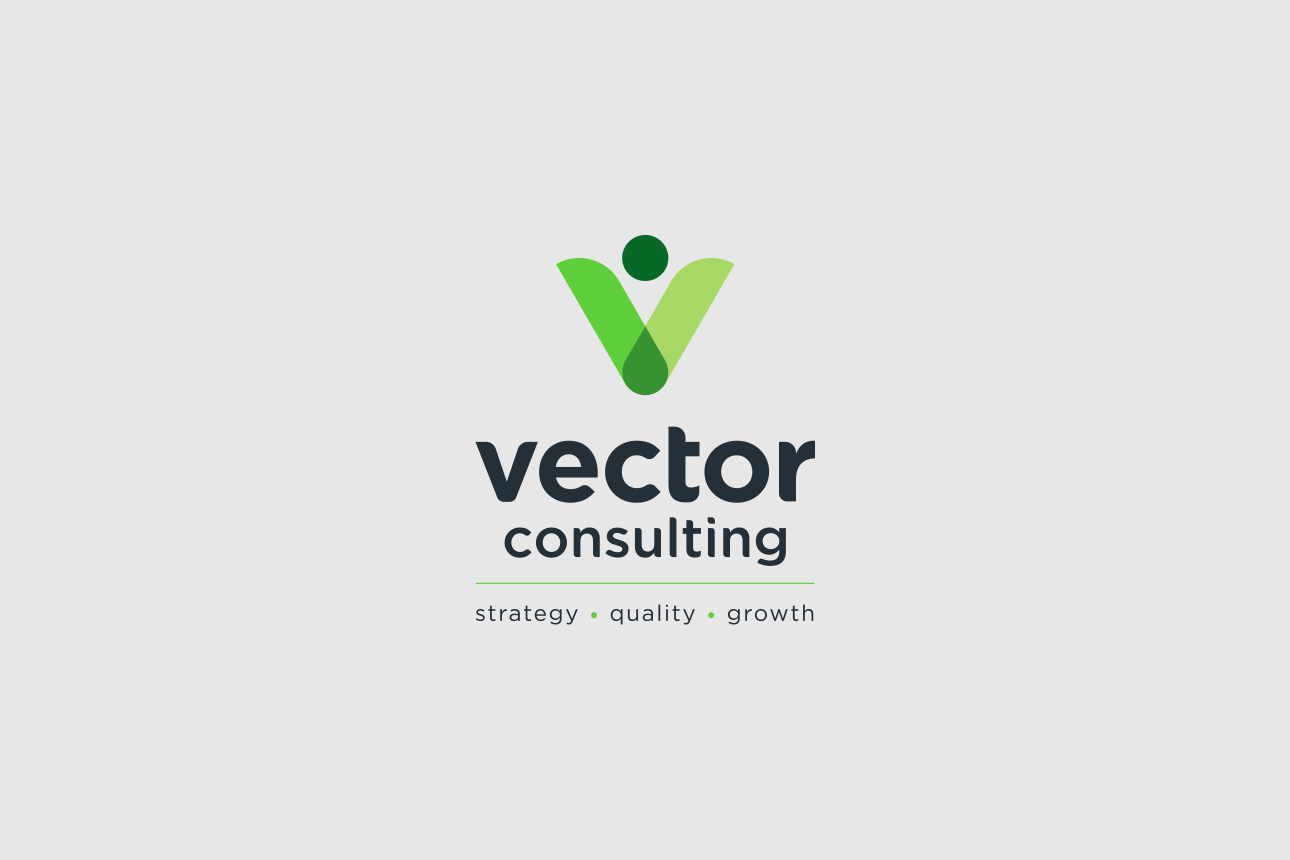 VectorConsulting Portfolio LogoOnGrey