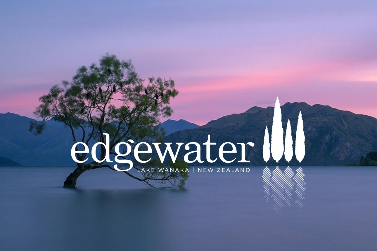 Edgewater website design development v2